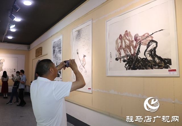 汝南县板店乡:乡村画展引客来