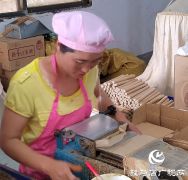 泌阳县黄山口乡：中药材产业助推乡村振兴