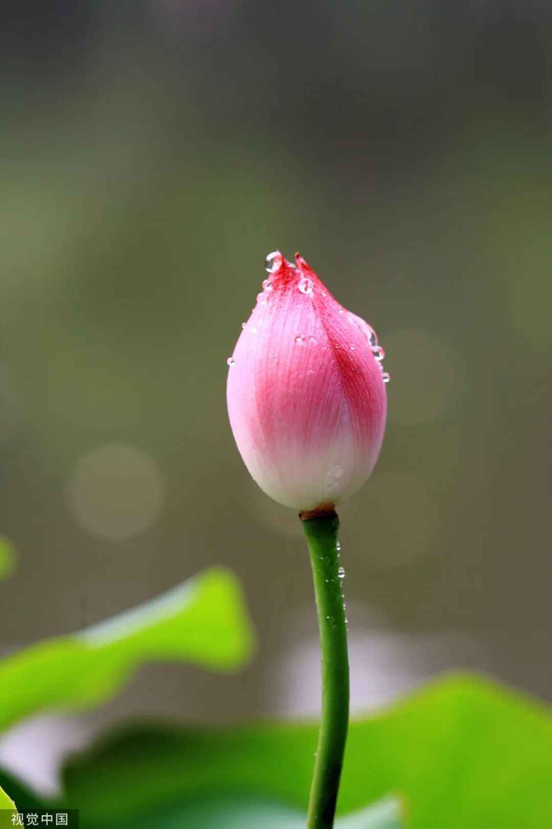 1687307742892668.jpeg a_855920748638760961.jpeg