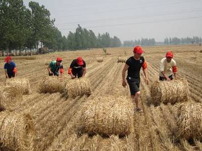 关注三夏丨各地各部门抢抓农时推进“三夏”生产