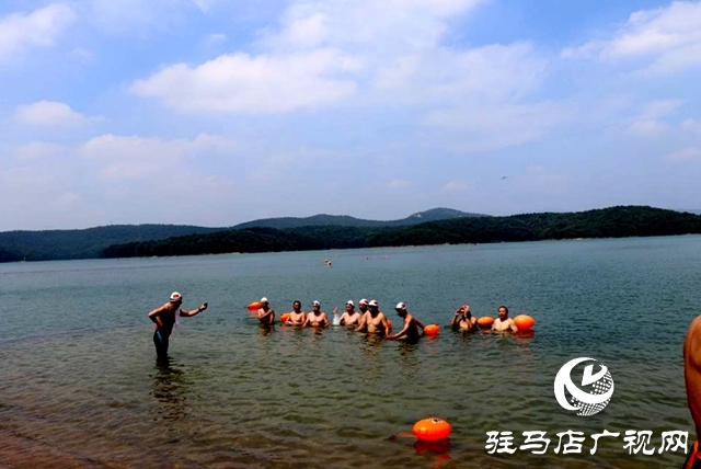 驻马店：水天一色泳友劈波斩浪 蛟龙护卫畅游开心惬意