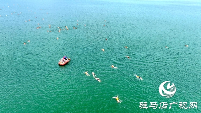 驻马店：水天一色泳友劈波斩浪 蛟龙护卫畅游开心惬意