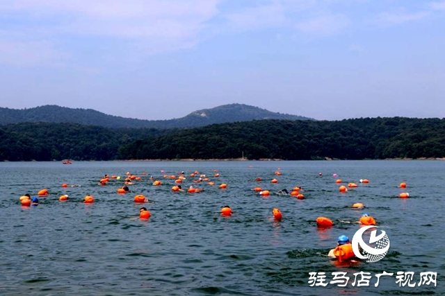 驻马店：水天一色泳友劈波斩浪 蛟龙护卫畅游开心惬意