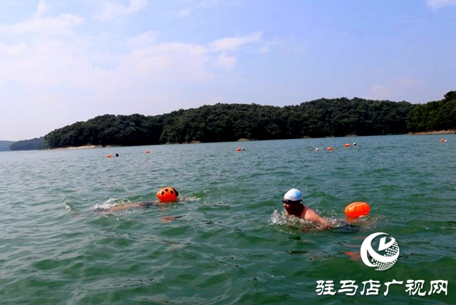 驻马店：水天一色泳友劈波斩浪 蛟龙护卫畅游开心惬意