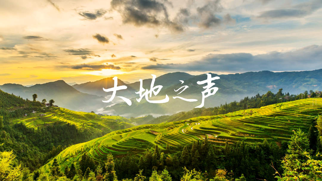 大地之声