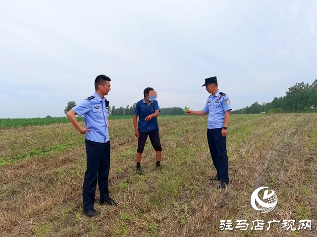  平舆：麦田除草引纠纷 耐心调解促和谐