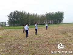  平舆：麦田除草引纠纷 耐心调解促和谐