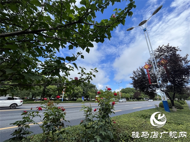 驻马店：天空蓝刷屏 晴热天气回归
