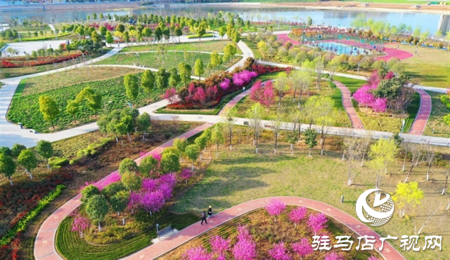 泌阳：做细文明创建“针线活” 绘就美丽泌阳“新画卷”
