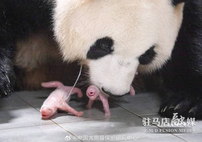微信截图_20230711092527.png