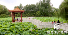 小荷竞绽放 市民赏花韵