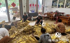 泌阳县郭集镇杨树岗村驻村工作队：发挥行业优势 助力群众致富