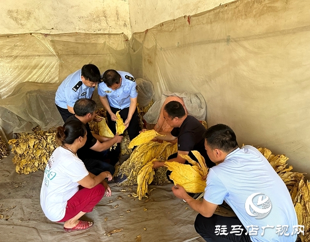 泌阳县郭集镇杨树岗村驻村工作队：发挥行业优势 助力群众致富