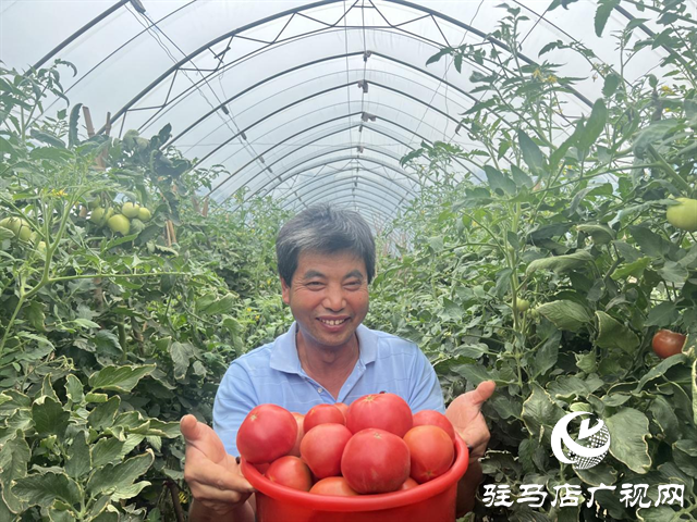 驿城区朱古洞乡:致富“领头雁”为乡村振兴赋能增色