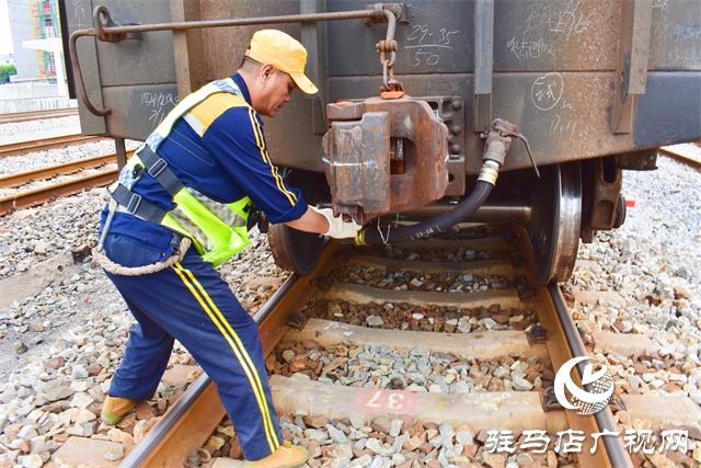 “战高温、斗酷暑”烈日下的坚守