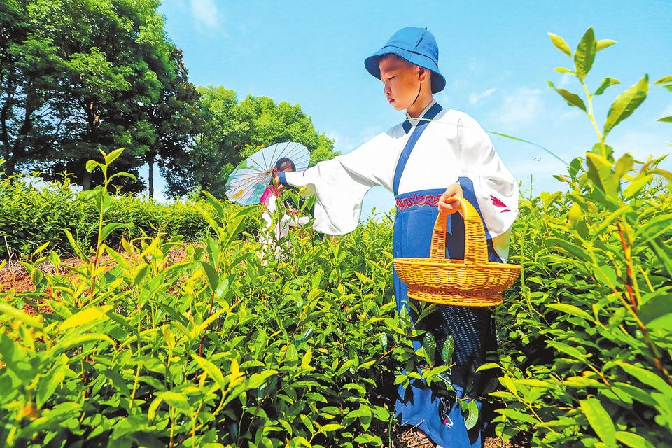 体验农耕文化 享受快乐暑假时光