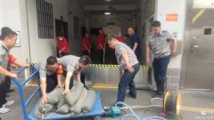 驻马店市农行：抢时疏通 迎战防汛