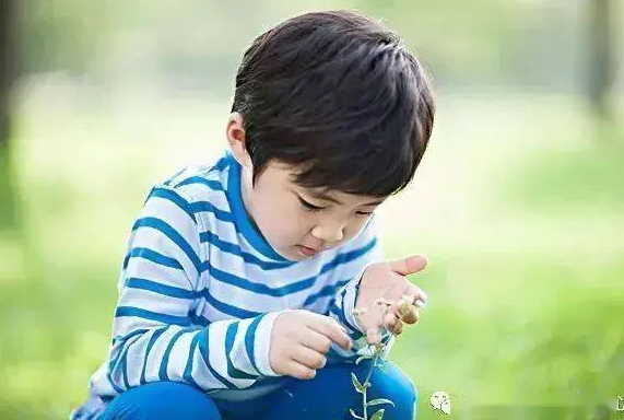 教育时评：激发青少年的好奇心
