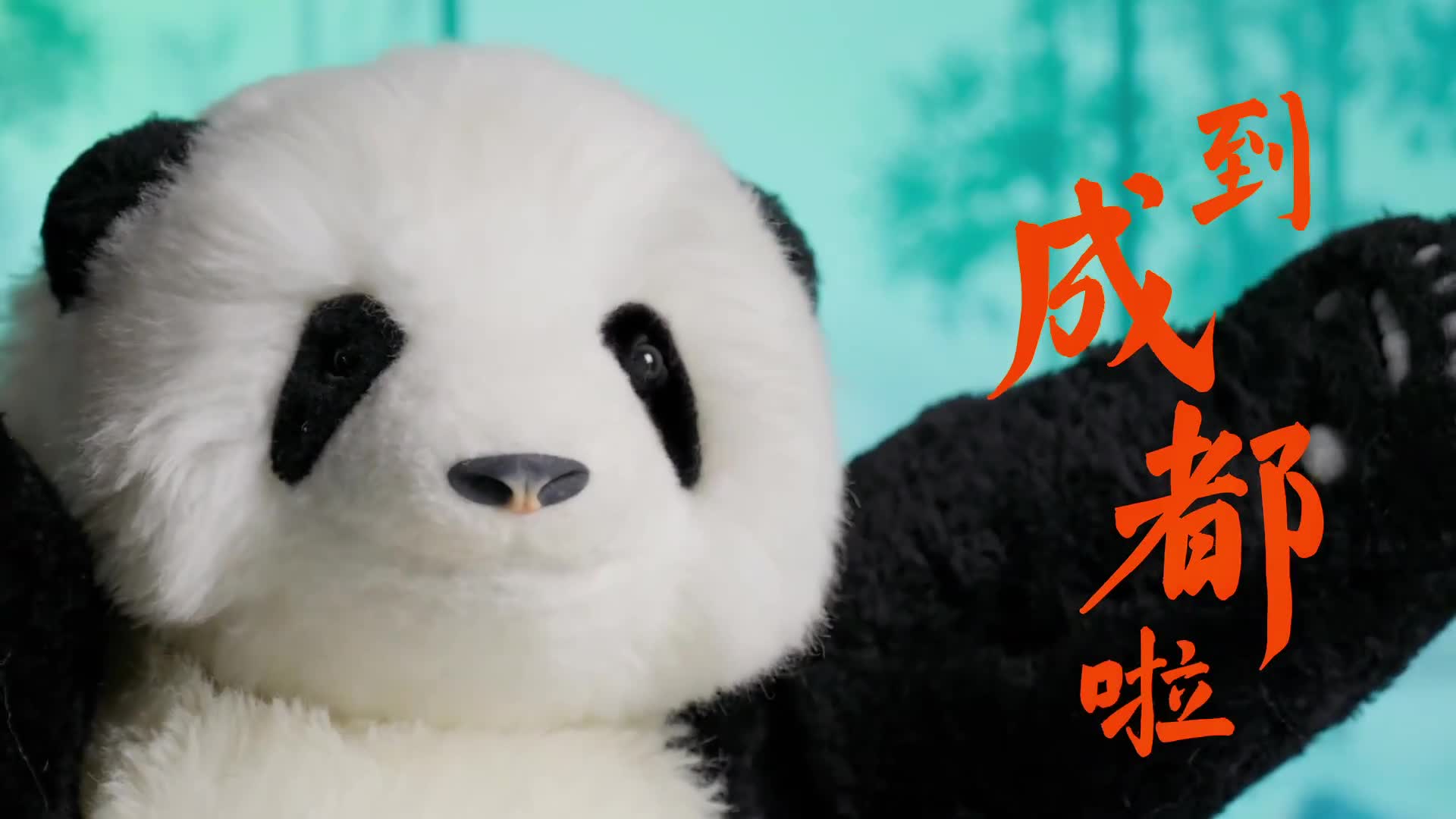 加油！“熊小猫”大运会助威歌来了