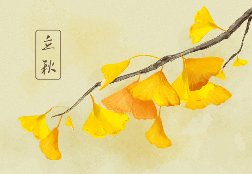 今日立秋｜长夏未尽 忽而已秋