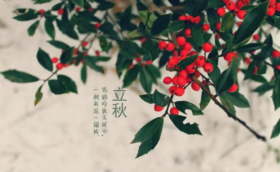 立秋丨耕耘有时 收获将至