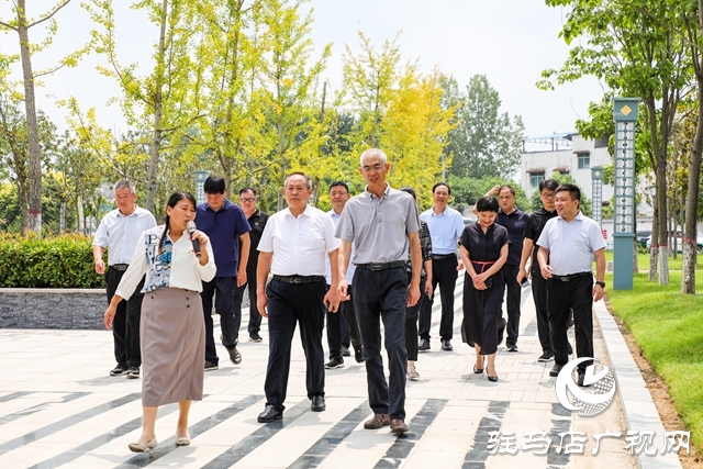 岳卷中调研泌阳国土绿化工作
