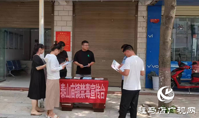 泌阳县泰山庙镇扎实开展禁毒宣传活动