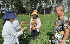 泌阳：农技服务到田间