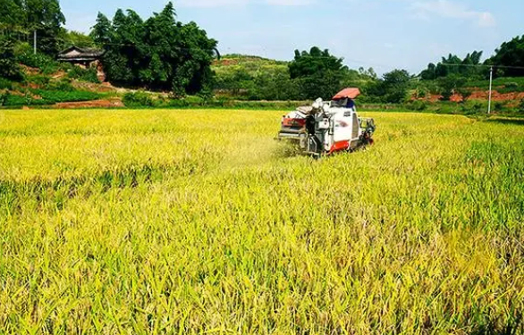 农业农村部：加大对受灾脱贫地区和群众的帮扶力度