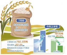 国际米价走高，对我国有影响吗？