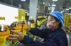 喜迎第二十五届中国农加会·潮品土特产② | 正阳花生 一路生花