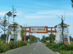 喜迎第二十五届中国农加会·潮品土特产③ | 芝麻花开 香飘世界