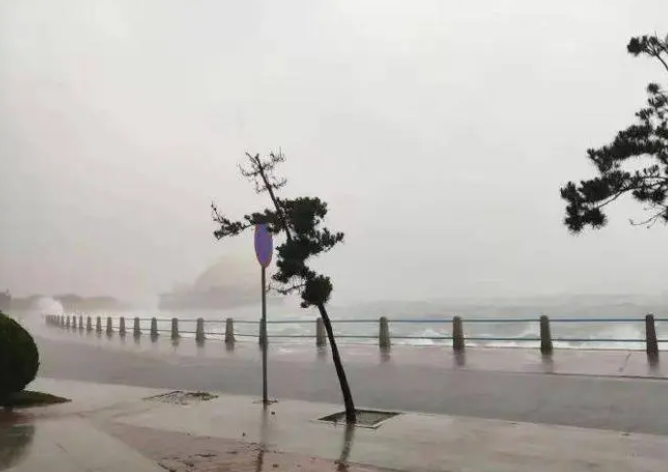 台风暴雨双预警！“苏拉”靠近，这些地方有大暴雨
