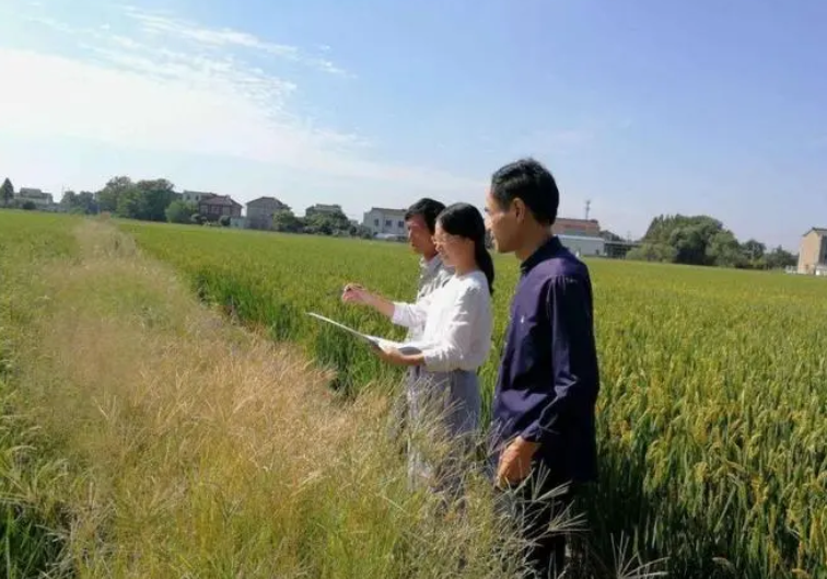 河南新型职业农民职称申报评审条件出台