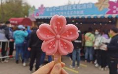 卖得比门票都贵，景区博物馆的文创雪糕你会欣然购买吗？