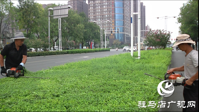 驿城区：扮靓城市环境 喜迎八方宾客
