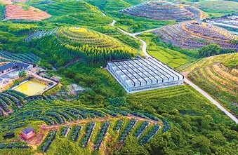 工业和信息化部：支持各地有序承接 发展壮大特色优势产业