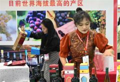 走进“农加会”｜脱贫地区和革命老区特色农产品亮点多