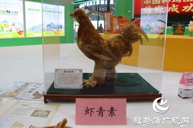 聚焦农加会 各地土特产惊艳亮相