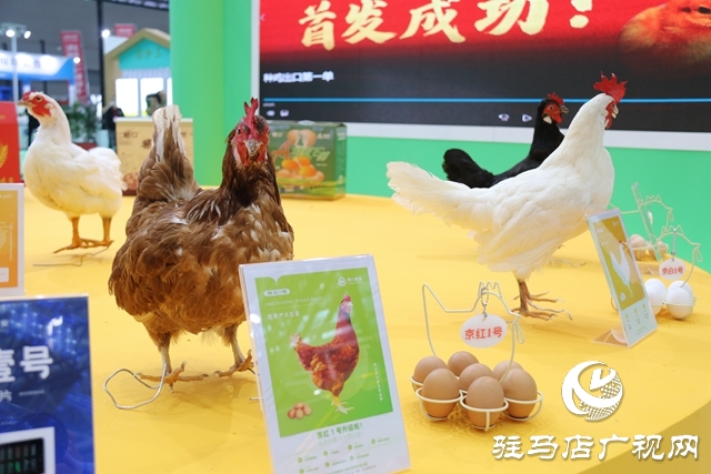 聚焦农加会 各地土特产惊艳亮相