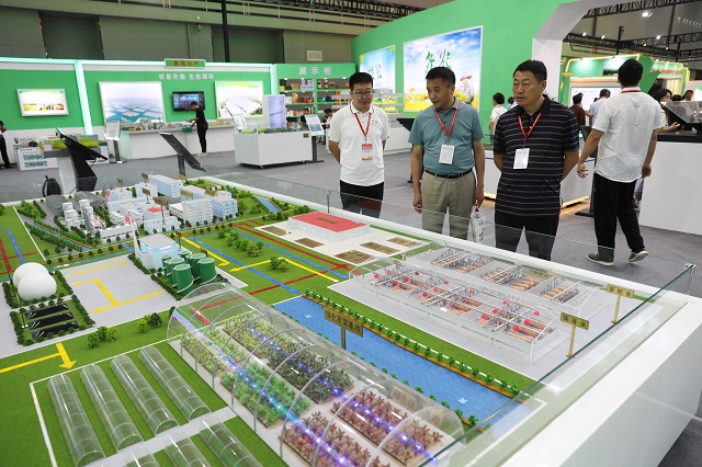 9月6日，观众在中国农加会F展厅参观小麦全产业链模型。何五昌 摄.JPG