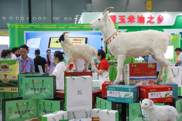 9月6日，在中国农加会F展厅，观众们在参观。何五昌 摄.JPG