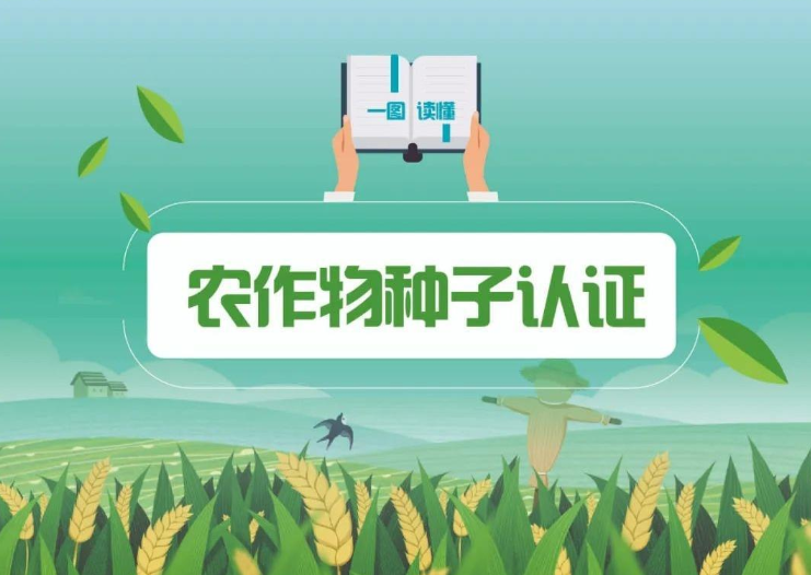 种子也有官方认证了！啥样儿的种子是好种子？一图了解→
