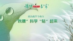 “豫健”二十四节气•白露丨露沾蔬草今夜白 “秋膘”科学“贴”起来