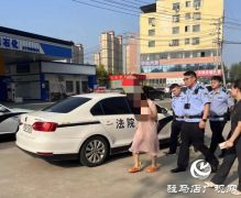 泌阳县人民法院常态化开展“护民生 优环境”集中执行行动