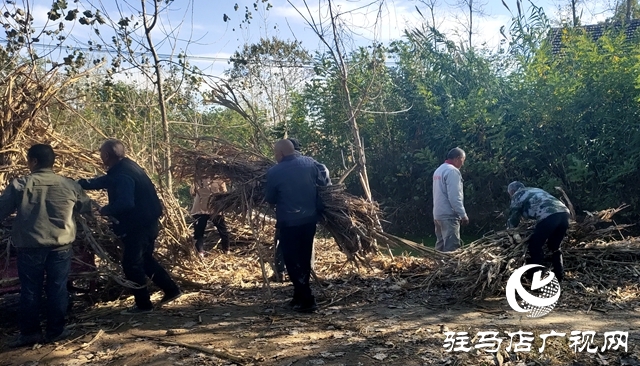 新蔡县顿岗乡：扎实开展秸秆清运 助推村庄清洁行动