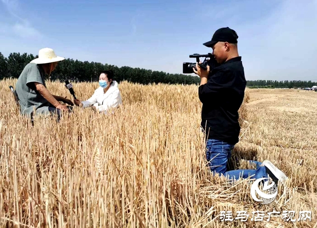 我们，在现场——致敬记者节