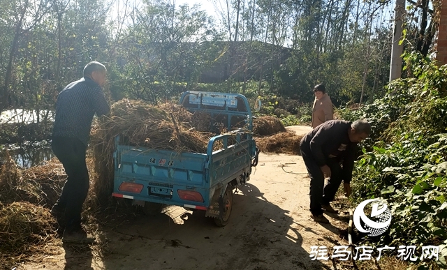 新蔡县顿岗乡：扎实开展秸秆清运 助推村庄清洁行动