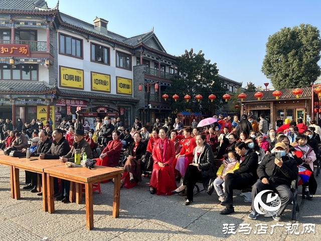 驻马店市文艺志愿者团队联合展演举行
