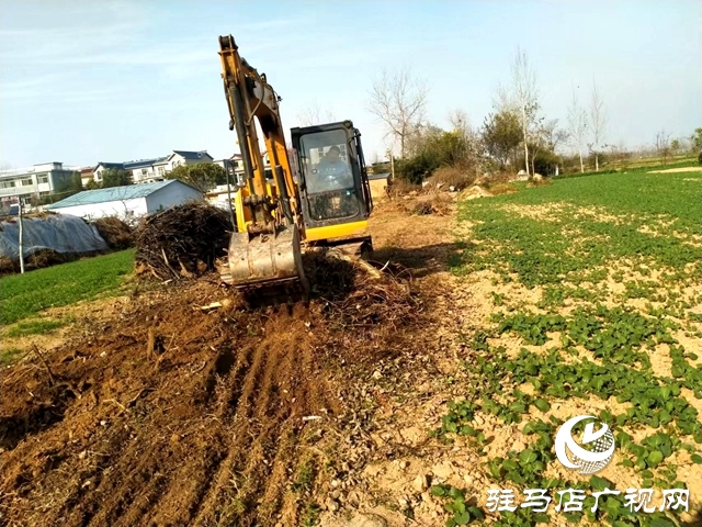 新蔡县顿岗乡：党建引领纵深推进 人居环境整治提质增效